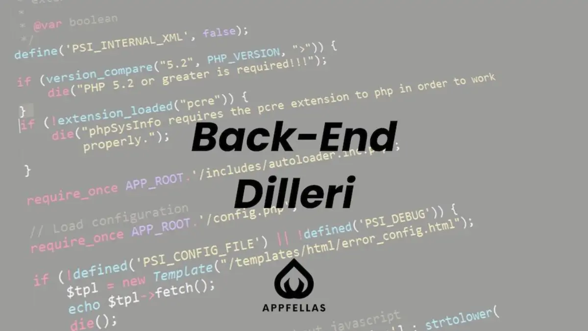Backend Dilleri