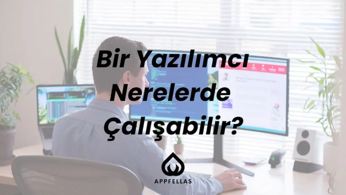Bir Yazılımcı Nerelerde Çalışabilir?