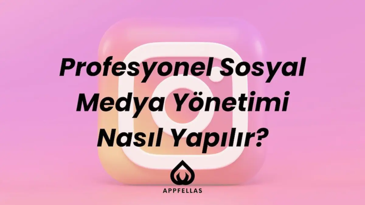 Profesyonel Sosyal Medya Yönetimi Nasıl Yapılır?
