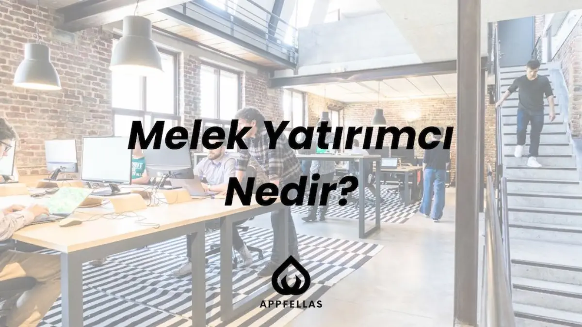 Melek Yatırımcı Nedir?