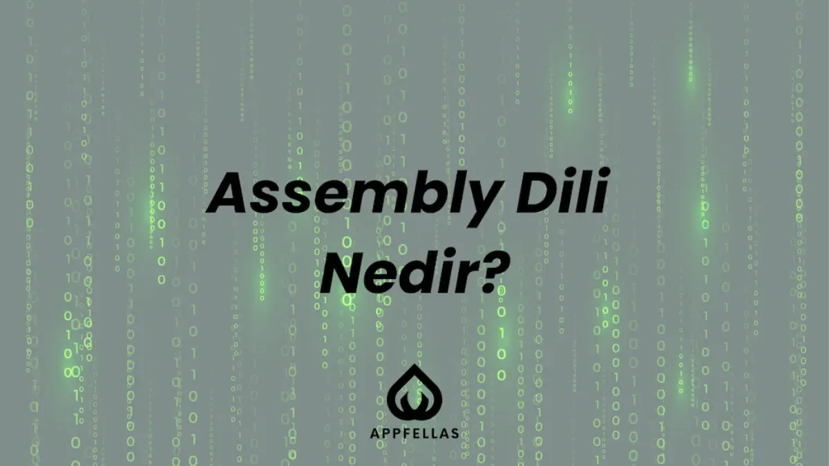Assembly Dili Nedir?