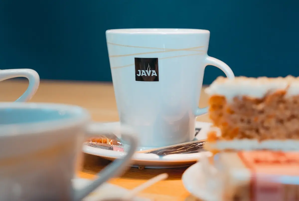 Java Developer Maaşları