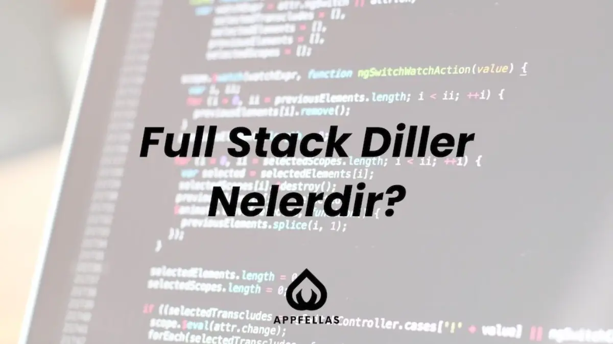 Full Stack Diller Nelerdir?
