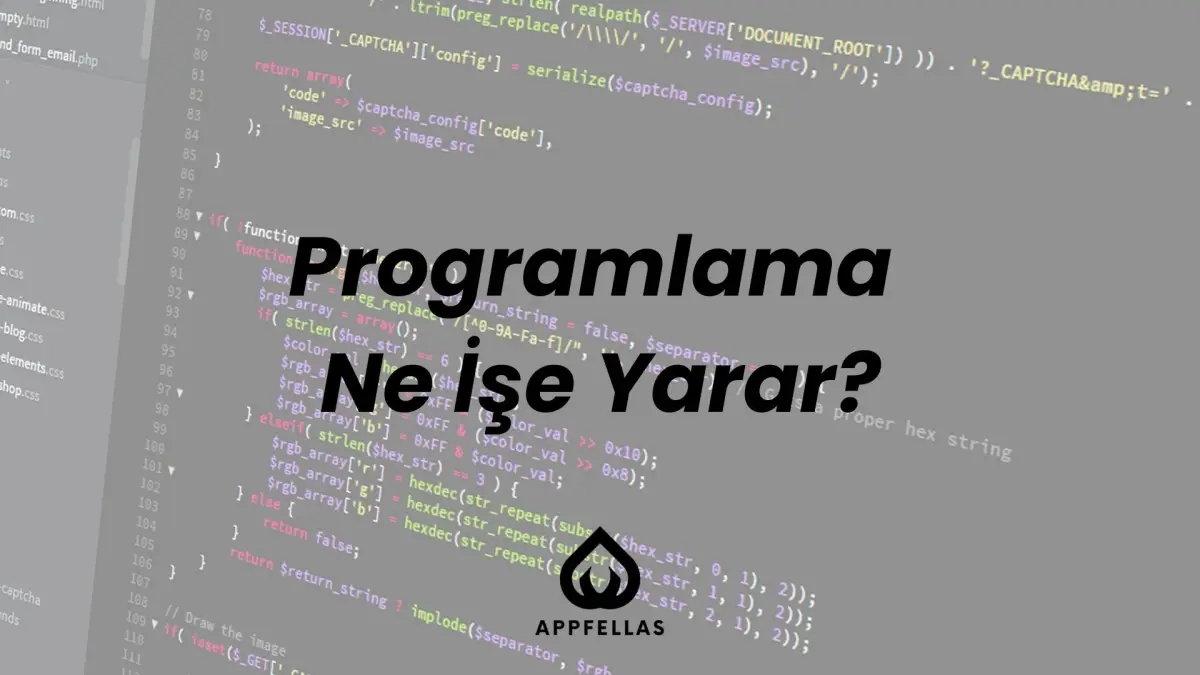 Programlama Ne İşe Yarar?