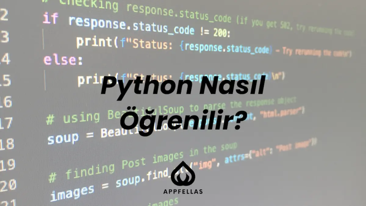 Python Nasıl Öğrenilir?