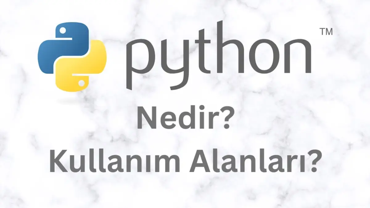 Python Nedir?