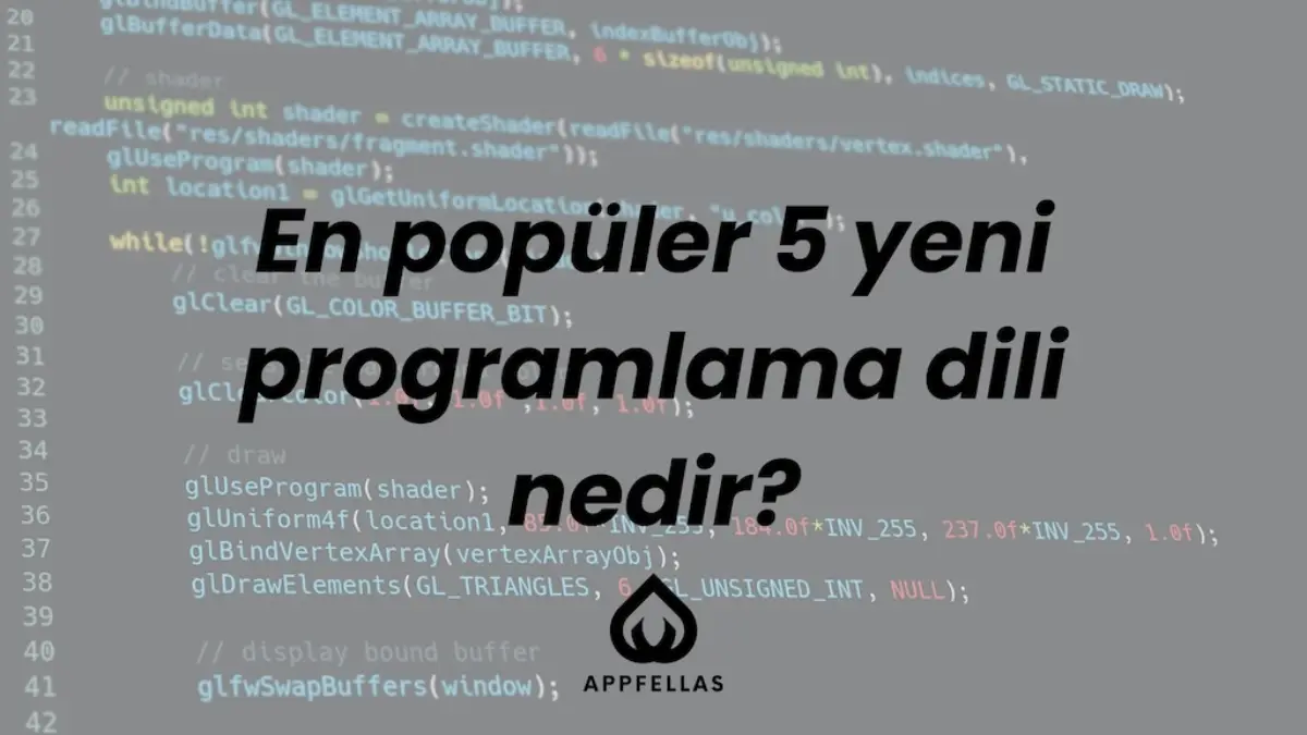 En Popüler 5 Yeni Programlama Dili Nedir?